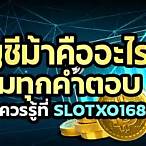 slotxo168